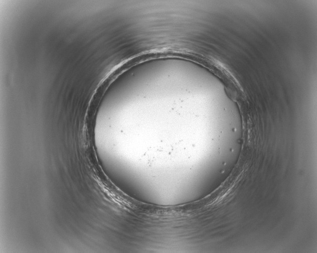 X0000059800876200511181512