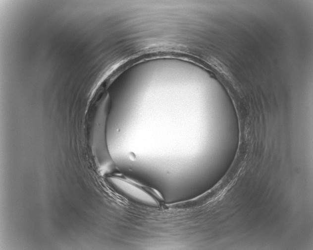 X0000059800877200511181512