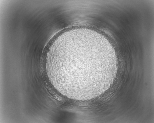 X0000059800878200511181512