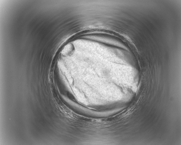 X0000059800879200511181512