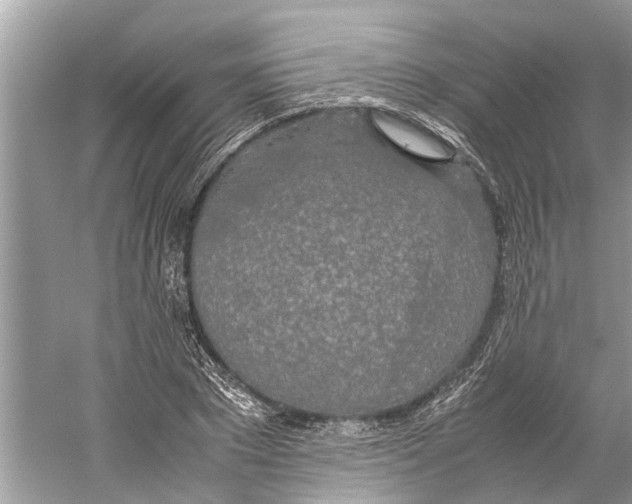 X0000059800881200511181511