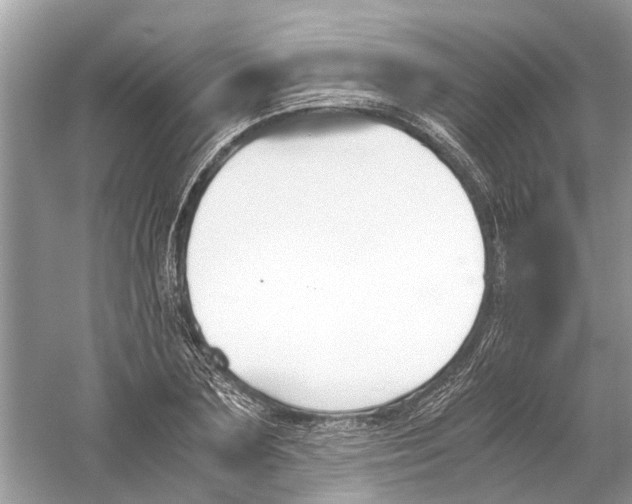 X0000059800883200511181511