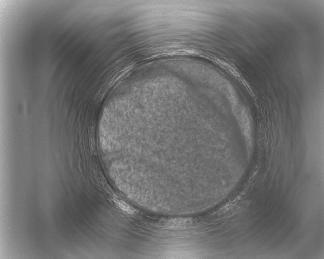 X0000059800889200511181511