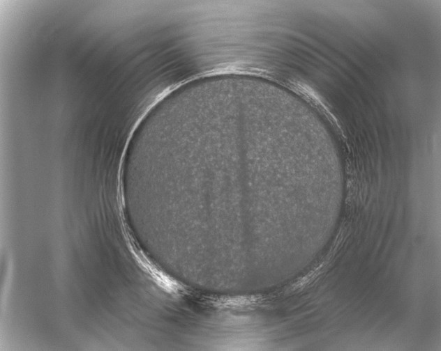 X0000059800892200511181511