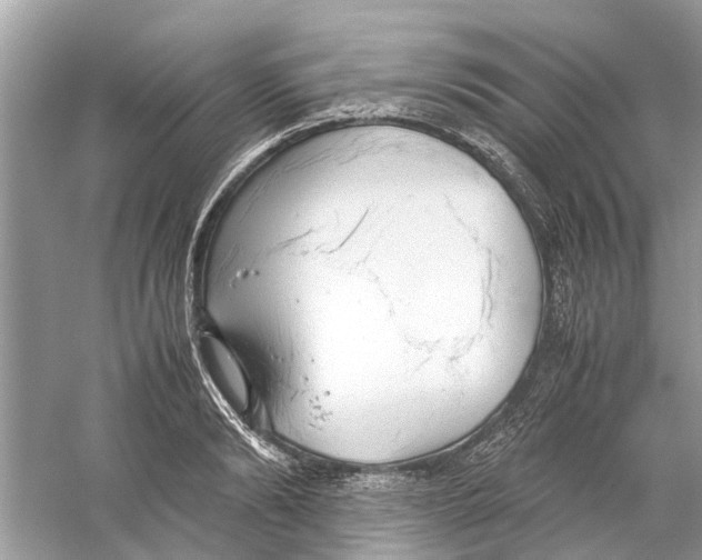 X0000059800894200511181511