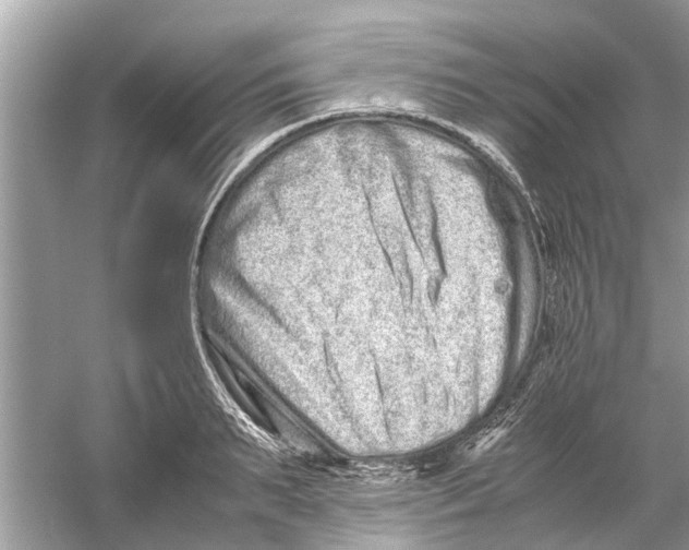 X0000059800895200511181511