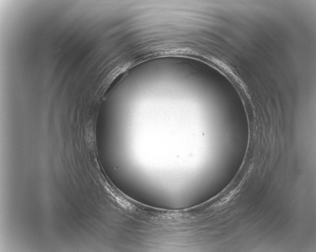 X0000059800897200511181511