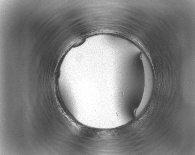 X0000059800898200511181511