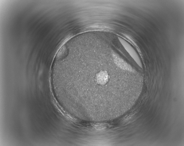 X0000059800899200511181511