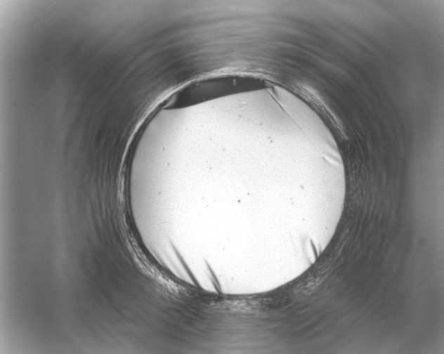 X0000059800900200511181511