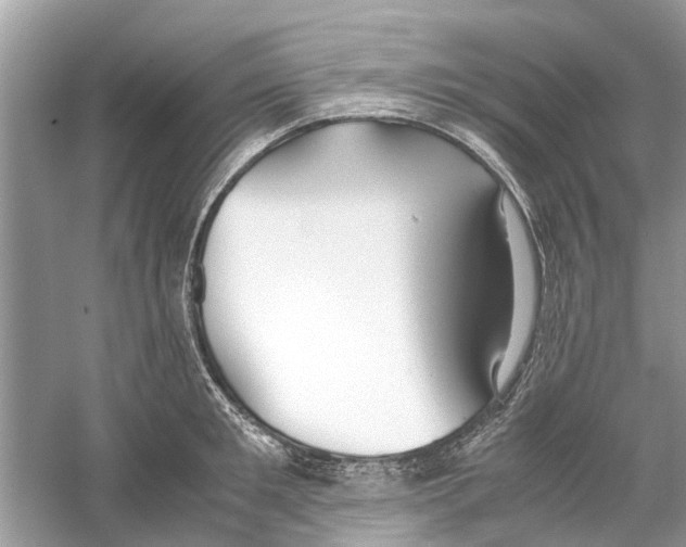 X0000059800901200511181511