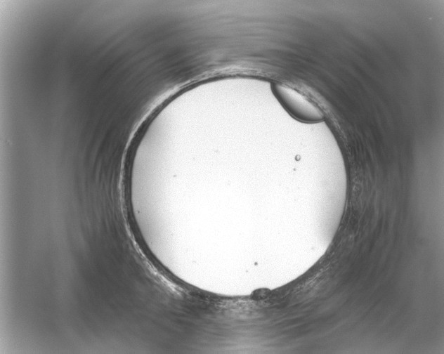 X0000059800902200511181511