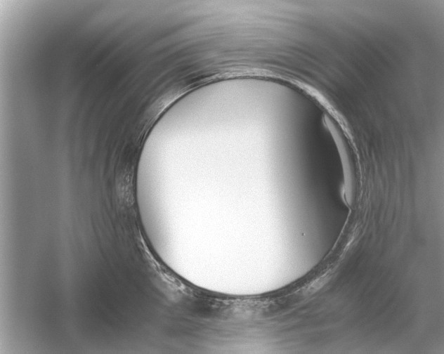 X0000059800905200511181511