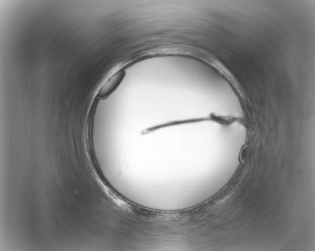 X0000059800909200511181511