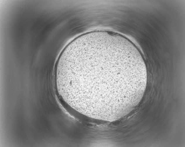 X0000059800911200511181511