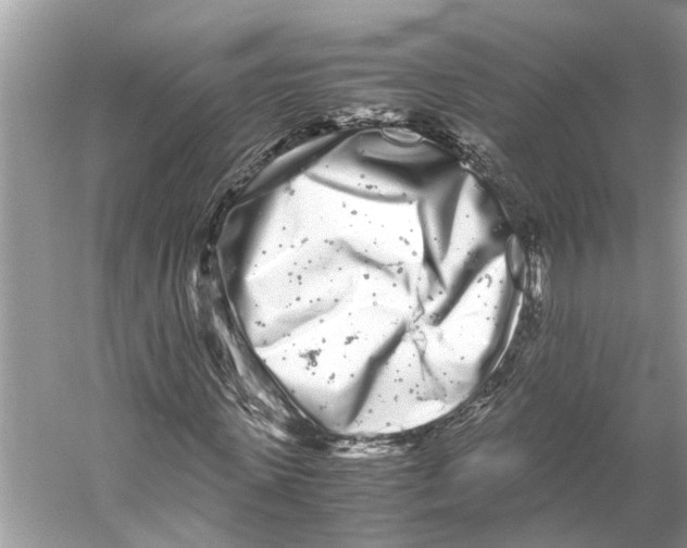 X0000059800915200511181510