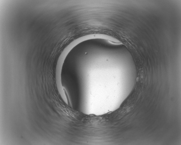 X0000059800916200511181510