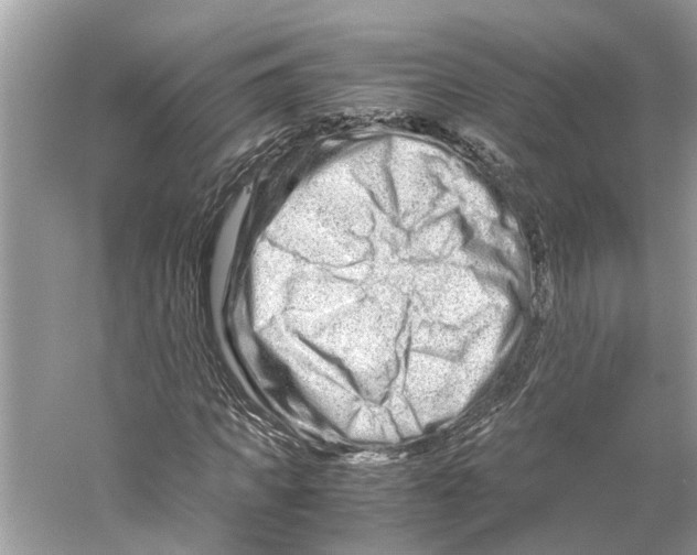 X0000059800917200511181510