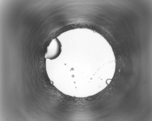 X0000059800918200511181510