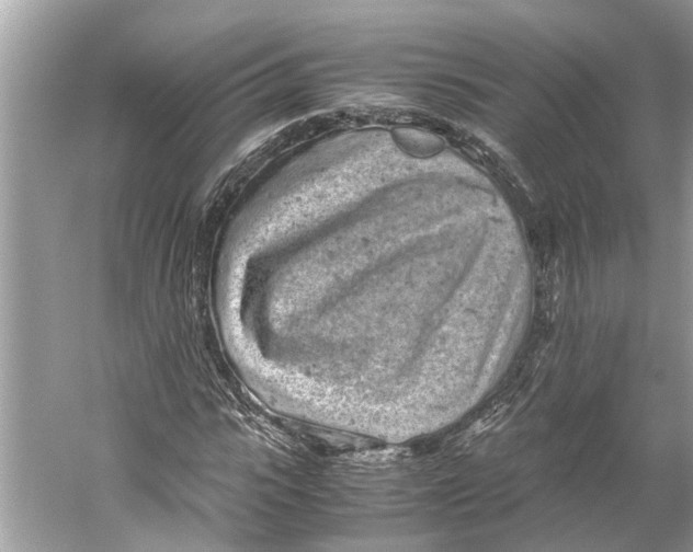 X0000059800919200511181510