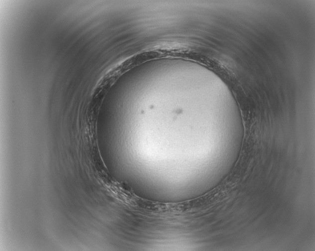 X0000059800920200511181510