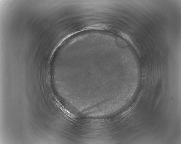 X0000059800923200511181510