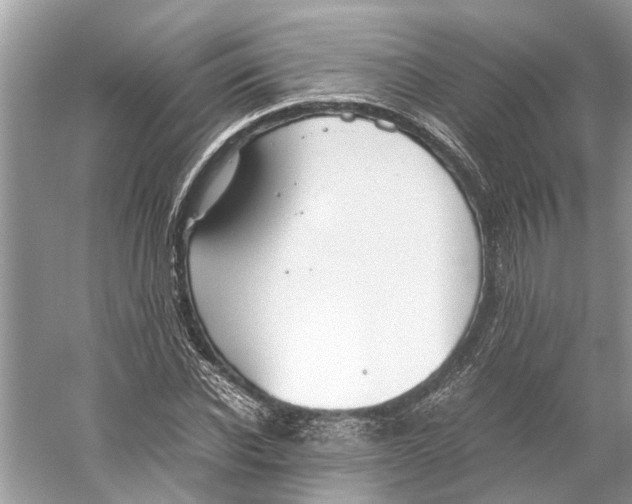 X0000059800926200511181510