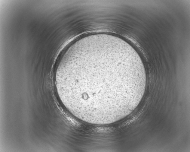 X0000059800933200511181510