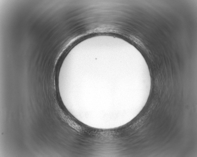 X0000059800934200511181510