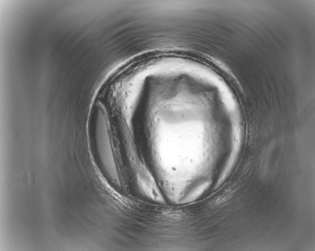 X0000059800935200511181510