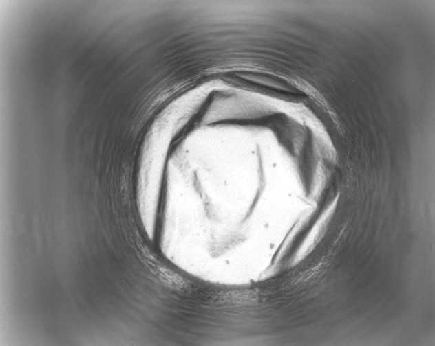 X0000059800937200511181511