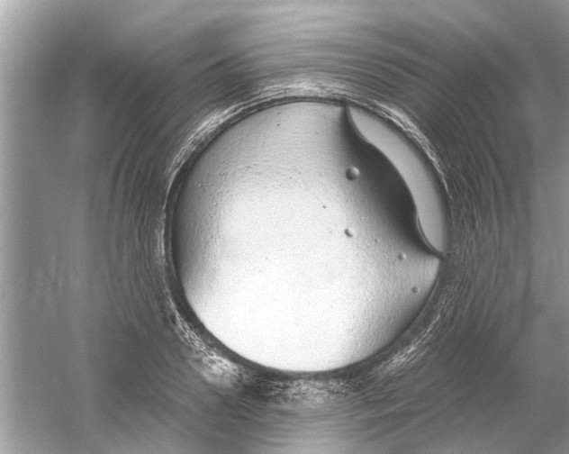 X0000059800938200511181511