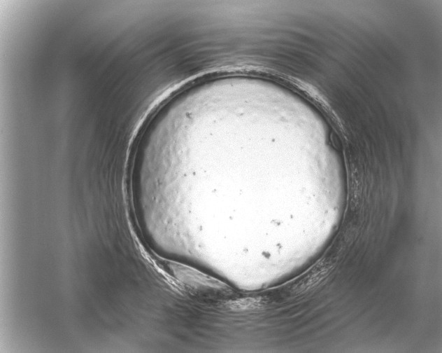 X0000059800943200511181511