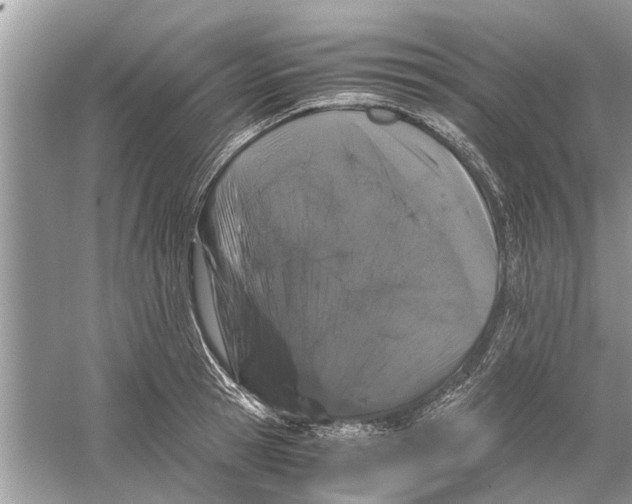 X0000059800945200511181511