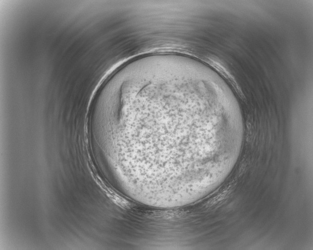 X0000059800948200511181511