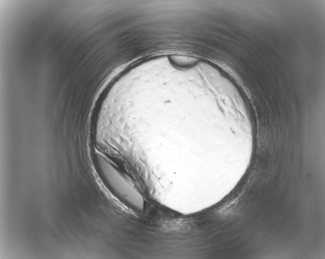 X0000059800949200511181511