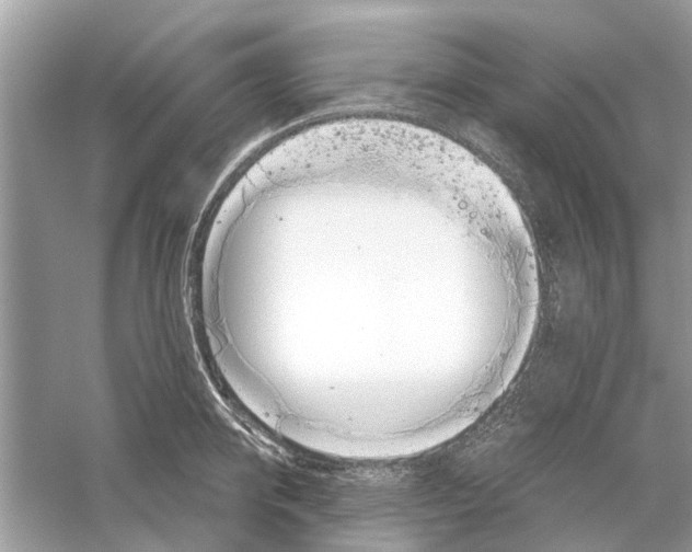 X0000059800950200511181511