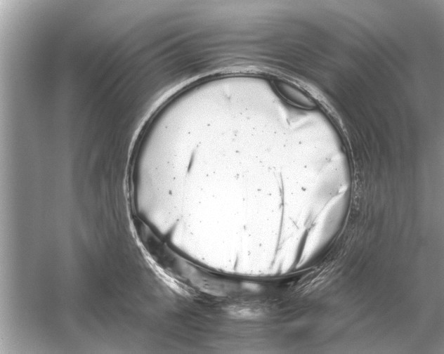 X0000059800951200511181511