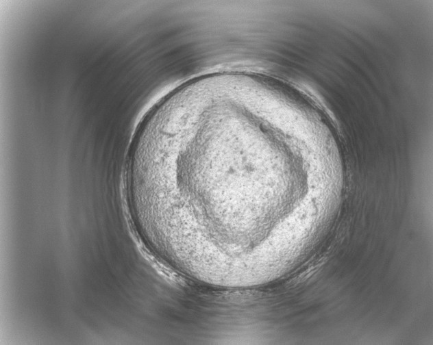 X0000059800952200511181511