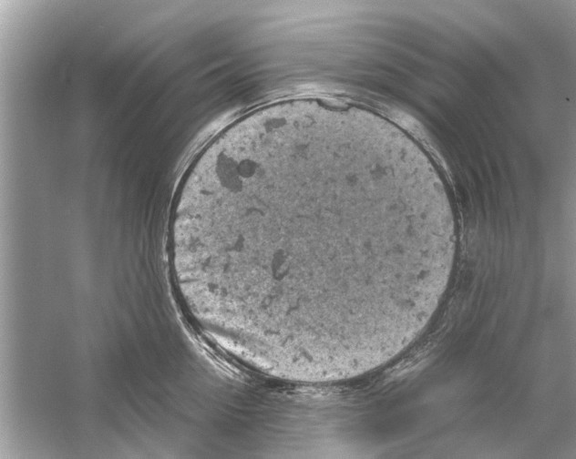 X0000059800954200511181511