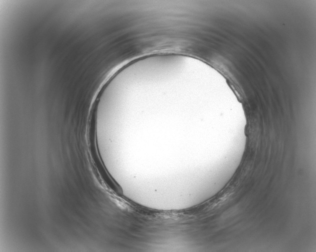 X0000059800956200511181511