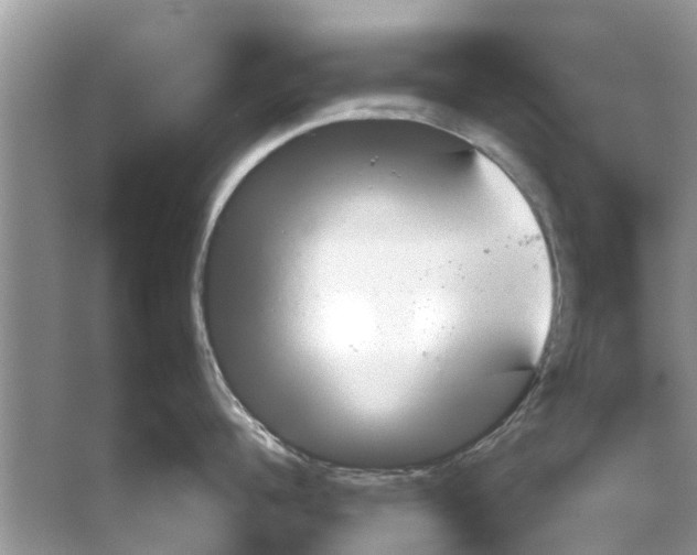 X0000059800960200511181511