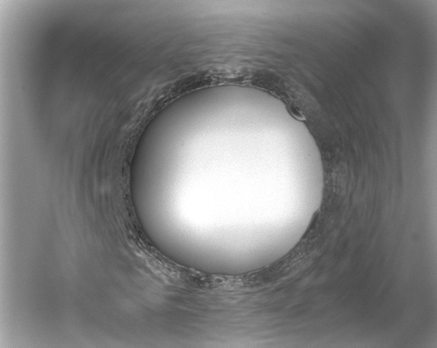 X0000059800961200511181510