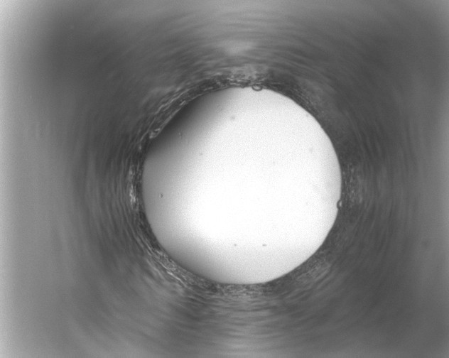 X0000059800962200511181510