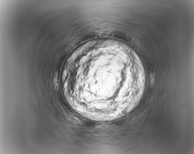 X0000059800963200511181510