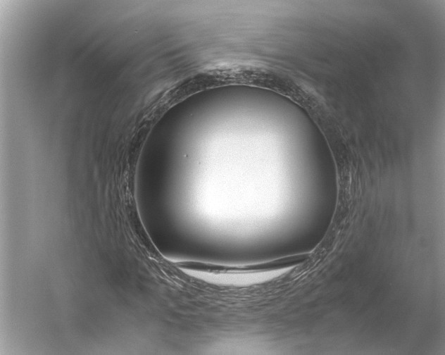 X0000059800965200511181510