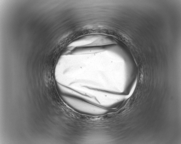 X0000059800966200511181510