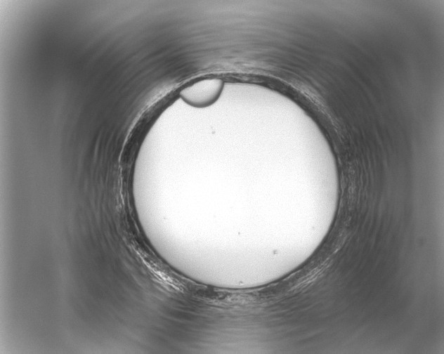 X0000059800974200511181510