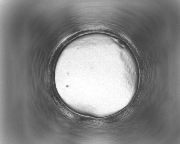 X0000059800975200511181510