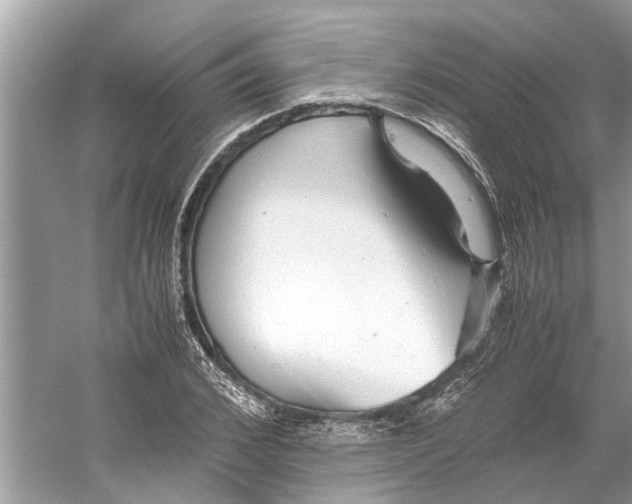 X0000059800976200511181510